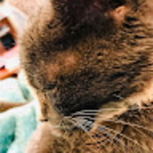 Meet your Posher, Marilee